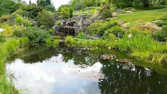 The University's Botanical Garden